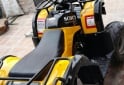 Cuatris y UTVs - Otra marca Scout tenn farmer 2007 111111Km - En Venta