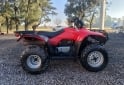Cuatris y UTVs - Honda Trx 250 2005  7000Km - En Venta