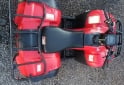 Cuatris y UTVs - Honda Trx 250 2005  7000Km - En Venta