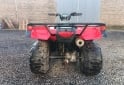 Cuatris y UTVs - Honda Trx 250 2005  7000Km - En Venta