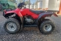 Cuatris y UTVs - Honda Trx 250 2005  7000Km - En Venta