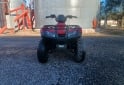 Cuatris y UTVs - Honda Trx 250 2005  7000Km - En Venta