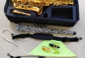 Instrumentos Musicales - Saxo Alto Lincoln - En Venta