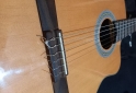 Instrumentos Musicales - Hermosa Electrocriolla IMPECABLE - En Venta