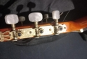 Instrumentos Musicales - Hermosa Electrocriolla IMPECABLE - En Venta