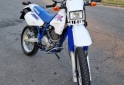 Motos - Suzuki DR 250 S 1994 Nafta 28000Km - En Venta