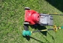 Herramientas - Cortadora de cesped y bordeadora Yuyito - En Venta