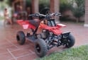 Cuatris y UTVs - Otra marca Banshee 49cc 2013 1111Km - En Venta