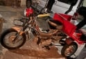 Utilitarios - Zanella TRI CARGO 2016 Nafta 4000Km - En Venta