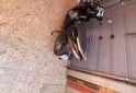Motos - Honda New elite 125 2018 Nafta 28000Km - En Venta