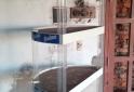 Otros - LIQUIDO.... - En Venta