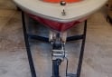 Embarcaciones - ELECTRA 1600 C/ MERCURY 75HP 4T - En Venta
