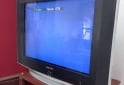Otros - TV SAMSUNG 29" - En Venta