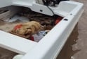 Embarcaciones - Embarcación modelo Pescador 15 - Mercury 40 - En Venta