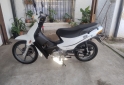 Motos - Guerrero Trip 110 2025 Nafta 1800Km - En Venta