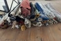 Otros - Recortes de tela y rollos ! - En Venta