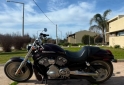 Motos - Harley Davidson V-ROD 1200 2005 Nafta 16000Km - En Venta