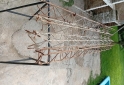 Otros - CABRIADAS - En Venta