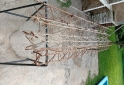 Otros - CABRIADAS - En Venta