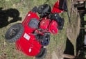 Herramientas - Tractor cortacesped desmalezadora - En Venta