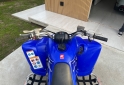 Cuatris y UTVs - Yamaha Raptor 350 2013 6000Km - En Venta