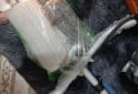 Herramientas - Vendo - En Venta