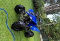 Cuatris y UTVs - Yamaha Raptor 350 2011  100Km - En Venta
