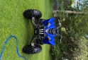 Cuatris y UTVs - Yamaha Raptor 350 2011  100Km - En Venta