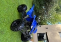 Cuatris y UTVs - Yamaha Raptor 350 2011  100Km - En Venta