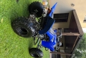 Cuatris y UTVs - Yamaha Raptor 350 2011  100Km - En Venta