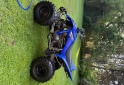 Cuatris y UTVs - Yamaha Raptor 350 2011  100Km - En Venta