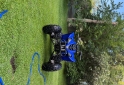 Cuatris y UTVs - Yamaha Raptor 350 2011  100Km - En Venta