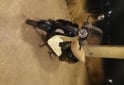 Motos - Motomel Strato Euro 150 2023 Nafta 8000Km - En Venta