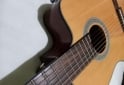 Instrumentos Musicales - Electrocriolla G.Shelter igual a nueva FLAMANTE - En Venta