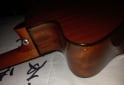 Instrumentos Musicales - Electrocriolla G.Shelter igual a nueva FLAMANTE - En Venta