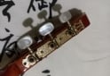 Instrumentos Musicales - Electrocriolla G.Shelter igual a nueva FLAMANTE - En Venta