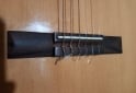 Instrumentos Musicales - Electrocriolla G.Shelter igual a nueva FLAMANTE - En Venta