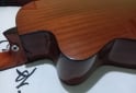 Instrumentos Musicales - Electrocriolla G.Shelter igual a nueva FLAMANTE - En Venta