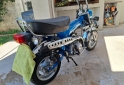 Motos - Honda Dax 70 1998 Nafta 11111Km - En Venta