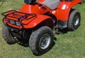 Cuatris y UTVs - Honda 200 parrillero 1996 1000Km - En Venta