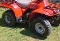 Cuatris y UTVs - Honda 200 parrillero 1996 1000Km - En Venta