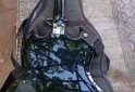 Instrumentos Musicales - L�quido guitarra electrica SX profesional - En Venta