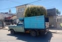 Camionetas - Ford 74 1983 GNC 250000Km - En Venta