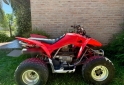 Cuatris y UTVs - Honda TRX 250X 2011 1000Km - En Venta