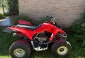 Cuatris y UTVs - Honda TRX 250X 2011 1000Km - En Venta
