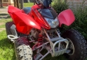 Cuatris y UTVs - Honda TRX 250X 2011 1000Km - En Venta
