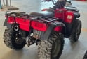 Cuatris y UTVs - Honda Foreman S 450 2003 19800Km - En Venta