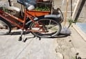 Deportes - Bicicleta Pianelli - En Venta