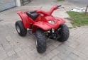 Cuatris y UTVs - Otra marca Siambretta atv 100 2004 1111Km - En Venta