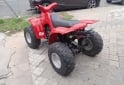 Cuatris y UTVs - Otra marca Siambretta atv 100 2004 1111Km - En Venta